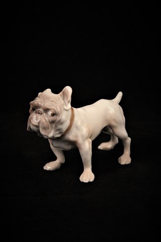 Bing & Grondahl (B&G) porcelain figure of Bulldog.
H:8cm. L:12cm.