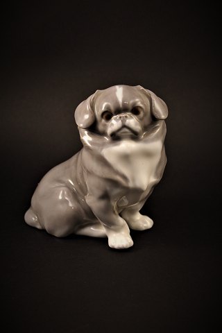 Royal Copenhagen porcelæns figur af lille pekingeser.
H:13,5cm.
RC# 1860. (lys)