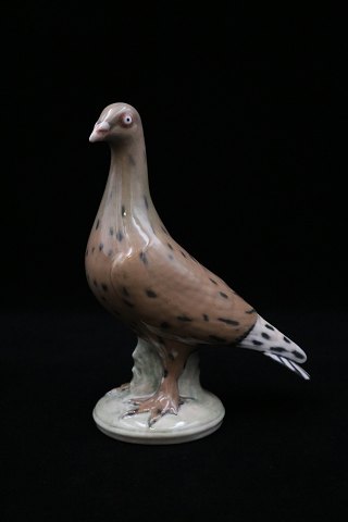 Royal Copenhagen porcelain pigeon.
Decoration number: 2932/3510. 
Height: 20,5cm. 
Staff sales.