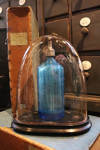 Decorative, old oval French glass Dome / Globe on a black wooden base for 
exhibition...