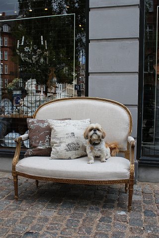 Empire salon sofa, gilded with a fine old patina and upholstered in light 
linen...