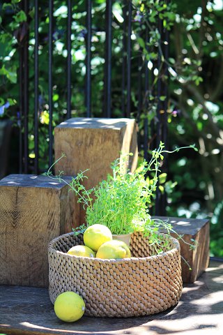 Swedish 19th century wicker basket. Really nice as a bread basket or as a fruit 
basket...