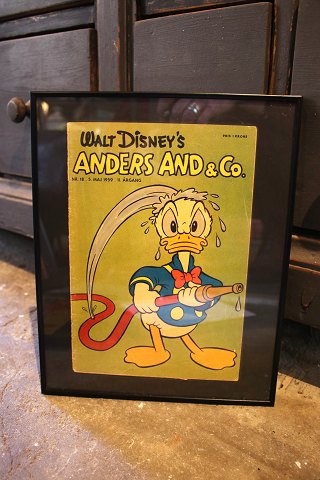 Dekorative , gamle Walt Disney Anders And blade fra årgang 1959 indrammet i sort ramme. 30x24cm...