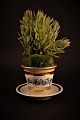 latest
new item latest
new item