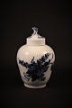 latest
new item latest
new item