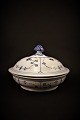 latest
new item latest
new item