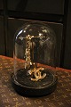 Decorative, old cylinder-shaped French glass Dome/Globe 
on a black wooden base for display...