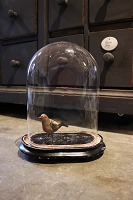 vare nr: Globe nr.12