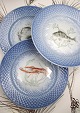 Bing & Grøndahl Blå Tone fisketallerkner i hotelporcelæn / jernporcelæn.
Dia.: 24,5cm...