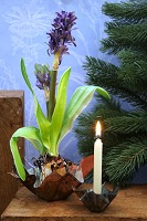 Miscellaneous Christmas